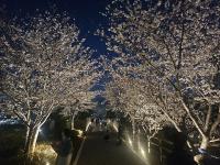 [NSP PHOTO]파주시, 새 단장 운정호수공원 산책길 명소로 부상