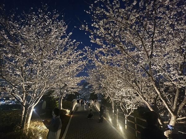 NSP통신-운정호수공원 산책길 (사진 = 파주시)