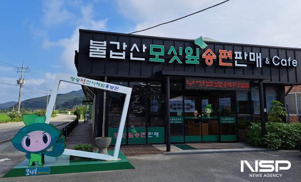 NSP통신-전남형 예비마을기업(불갑유통영농조합법인) (사진 = 전남도)