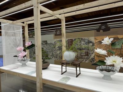 [NSP PHOTO]수원시 정조대왕이 사랑한 식물 나도 키우고 싶다