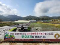 [NSP PHOTO]보성 웅치 올벼쌀, 올해 첫 모내기...명품 웰빙 쌀 본격 생산 시동