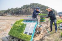 [NSP PHOTO]고성군, 첫 모내기 시작…영농철 돌입