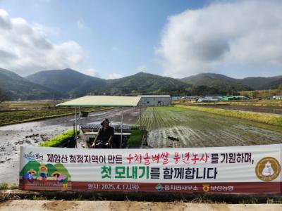 [NSP PHOTO]보성 웅치 올벼쌀 올해 첫 모내기명품 웰빙 쌀 본격 생산 시동