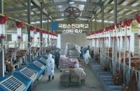 [NSP PHOTO]순천대, 세계 최초 생균제 기술 개발...한우 트림 메탄 잡았다