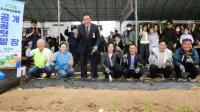 [NSP PHOTO]안성시, 도심 속 힐링공간 도시농업공동체 공공텃밭 개장