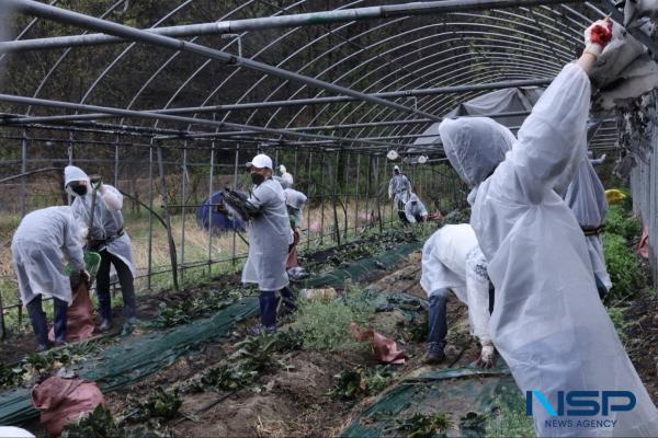NSP통신-한국산업단지공단은 지난 22일 산불 피해 지역인 경상북도 의성군 단촌면 하화리 일대에서 복구 지원 봉사활동을 실시했다. (사진 = 한국산업단지공단)