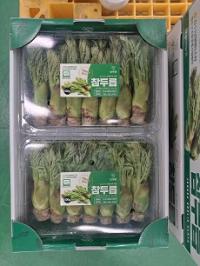 [NSP PHOTO]장수군, 두릅 공동선별 출하 본격 시작