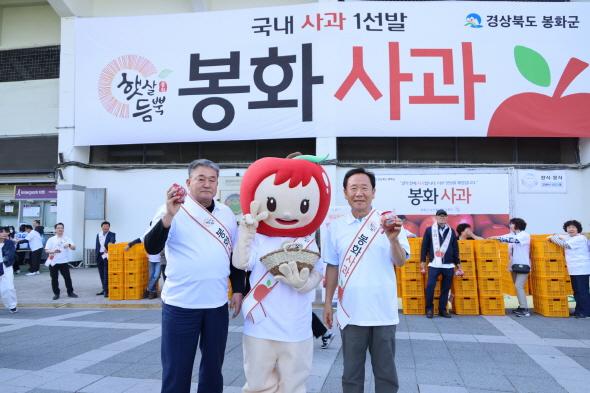 NSP통신-봉화군 잠실야구장 두산베어스 경기서 햇살듬뿍 봉화사과 알리다, 야구 관람객 전원을 대상으로 시식용 사과 배부해 봉화사과 우수성 알려 (사진 = 봉화군)