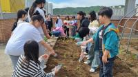 [NSP PHOTO]수원시, 학교·복지시설 찾아가 농업으로 치유한다