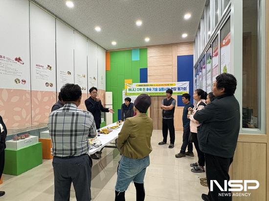 NSP통신-바나나 수확 전 후숙 기술 현장 평가회 (사진 = 광양시청)