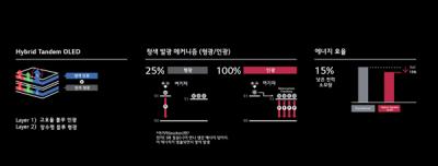 [NSP PHOTO]LG디스플레이, 청색 인광 적용한 OLED 패널 제품화 검증 첫 성공