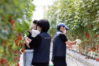 [NSP PHOTO]볼보자동차코리아, 푸르메소셜팜서 임직원 봉사활동 전개