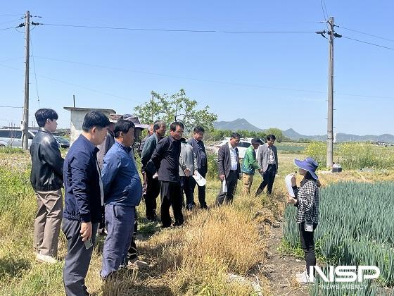 NSP통신-완주군이 최근 봉동읍 고천리 일대에서 대파 농업인과 관련 공무원 30여 명이 참석한 가운데 현장 평가회를 열었다. (사진 = 완주군)