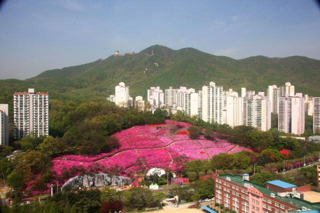 NSP통신-군포철쭉동산. (사진 = 군포시)