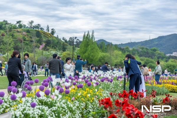 NSP통신-순천만국가정원 스페이스허브에서 사진을 찍고 있는 관람객 (사진 = 순천시)