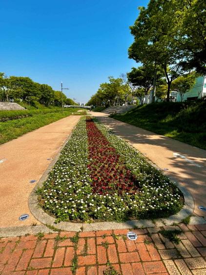 NSP통신-안산시가 안산천과 화정천 산책로 일대에 봄꽃 길을 조성했다. (사진 = 안산시)