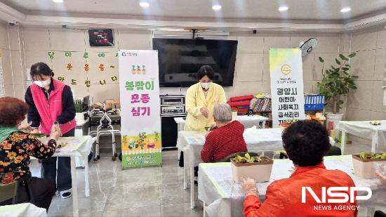 NSP통신-상추 모종 심기 (사진 = 광양시청)