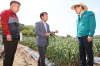 [NSP PHOTO]진안군, 마늘재배 전과정 기계화 추진...작업비 최대 60%↓