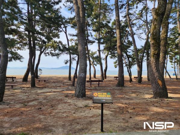 NSP통신-불법 텐트 없는 깨끗한 율포솔밭해수욕장