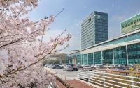 [NSP PHOTO]용인시, 수원시 광교 송전철탑 이설 겨냥 공동개발이익금 집행 금지 가처분 신청