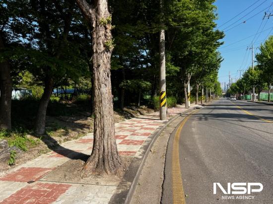 NSP통신-태인동 담안길 뿌리돌출 정비사업 완료 (사진 = 광양시청)