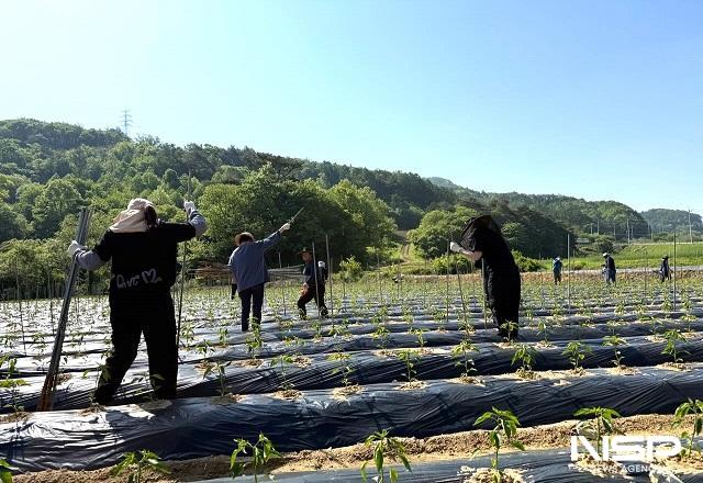 NSP통신- (사진 = 진안군)