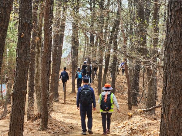 NSP통신-울창한 숲길이 이어지는 고봉누리길 (사진 = 고양시)