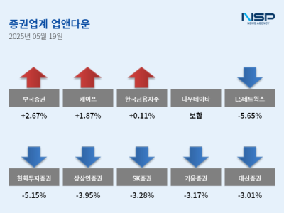 [NSP PHOTO]업앤다운증권주 하락부국증권LS네트웍스