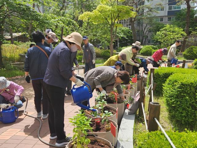 NSP통신-용인특례시가 지역 내 경로당을 대상으로 운영하고 있는 찾아가는 실버텃밭. (사진 = 용인특례시)