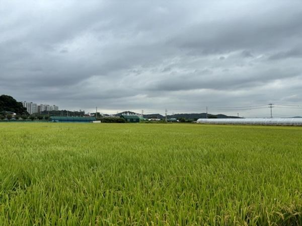 NSP통신-기본형 공익직불금 신청 관련 사진 (사진 = 파주시)