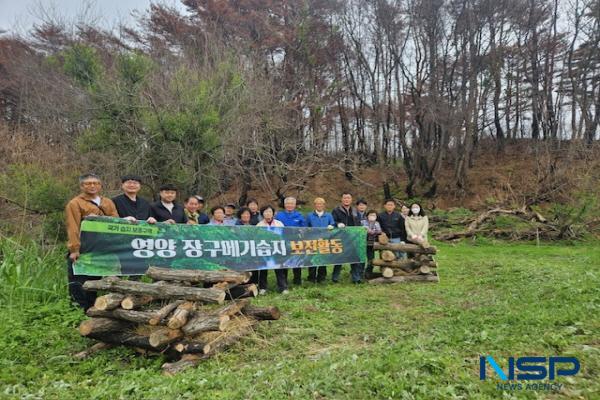 [NSP PHOTO]영양 장구메기습지, 산불피해 지역 생태회복 시동