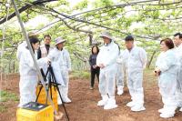 [NSP PHOTO]나주시, 이상저온 피해 과수 전수조사 실시