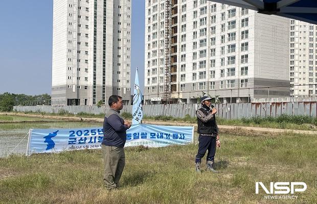 NSP통신- (사진 = 군산시)