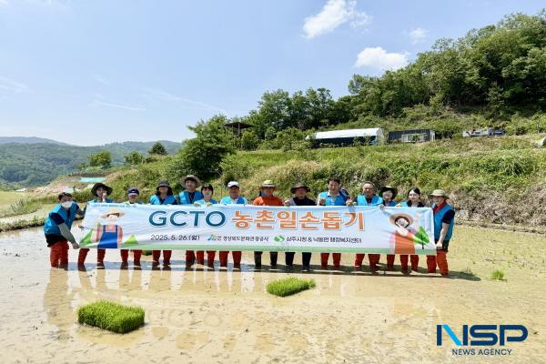 [NSP PHOTO]경북문화관광공사, 농촌 찾아 모내기 일손돕기 구슬땀