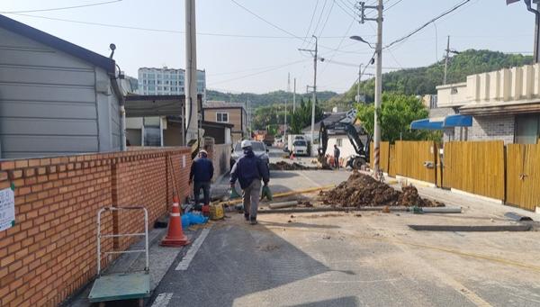 NSP통신- (사진 = 강진군)