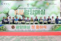 [NSP PHOTO]2025년산 명품 광양매실, 첫 출하식 가져