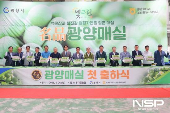 NSP통신-2025년산 광양매실 첫 출하식 (사진 = 광양시청)