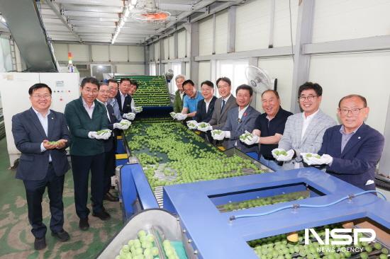 NSP통신-2025년산 광양매실 첫 출하식 (사진 = 광양시청)
