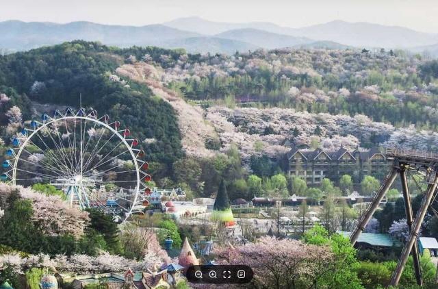NSP통신-에버랜드 전경. (사진 = 용인특례시)