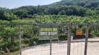 [NSP PHOTO]담양군, 과수화상병 예방 총력