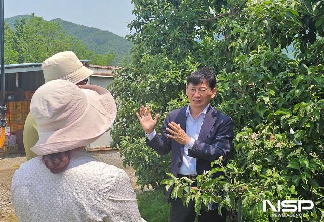NSP통신-최훈식 군수가 지난달 30일 전날 발생한 국지성 우박으로 피해를 입은 과수농가를 긴급 방문해 피해 상황을 점검하고 농민들을 위로했다. (사진 = 장수군)