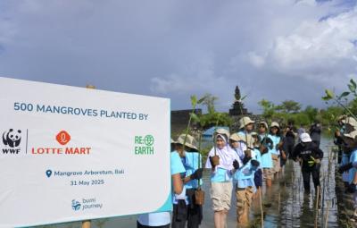 [NSP NEWS Image]롯데마트 맹그로브로 본 인도네시아 사랑이제는 ESG도 글로벌하게