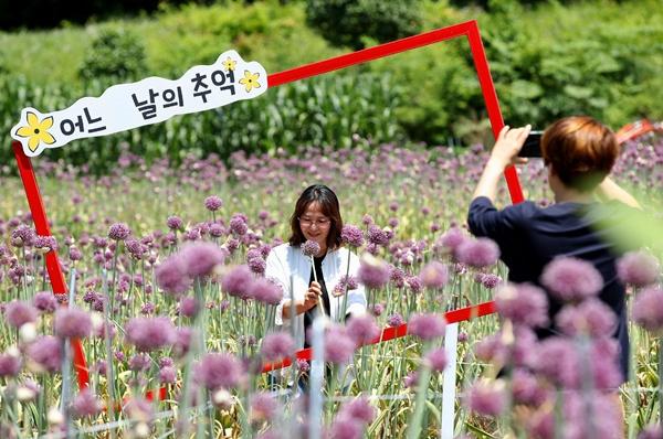 NSP통신- (사진 = 강진군)