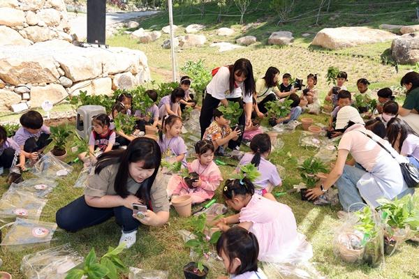 NSP통신- (사진 = 장흥군)