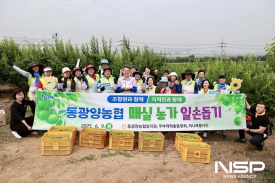 NSP통신-동광양농협과 NH농협광양시지부 매실 수확철 맞아 농가 일손돕기 기념 찰영 (사진 = 동광양농협)