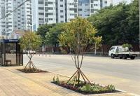 [NSP PHOTO]군산시, 백토로 일대 사계절 가로정원 조성