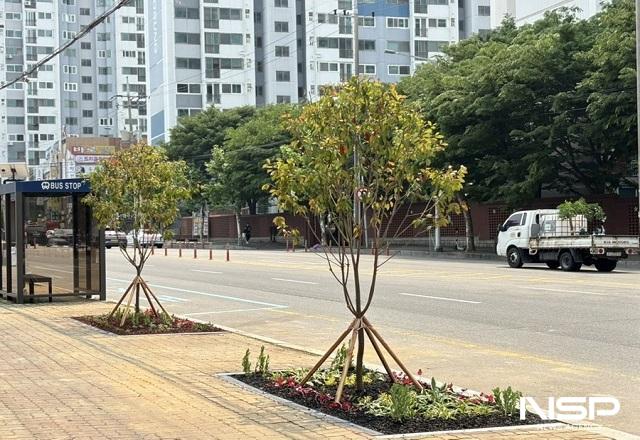 NSP통신-군산시가 한국전력공사와 협력해 백토로(백토고개사거리~백토사거리, 연장0.4km)구간 상가 방면에 사계절 가로정원을 조성했다. (사진 = 군산시)