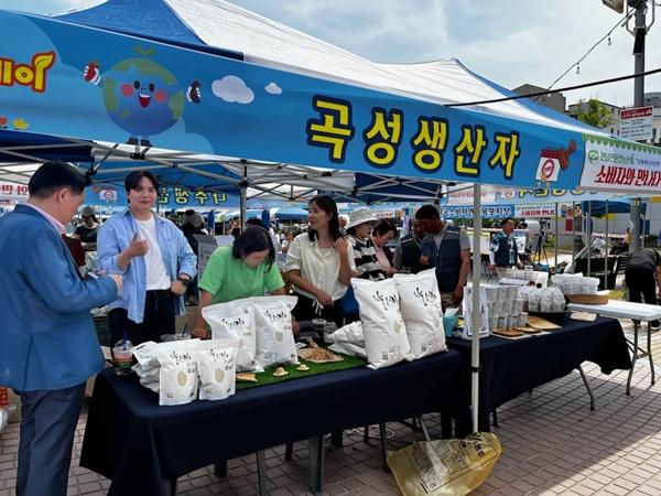 NSP통신- (사진 = 곡성군)