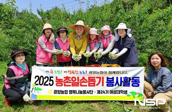 NSP통신-허순구 조합장과 광양농협 행복나눔봉사단, 24기 여성대학 수강생 매실 수확 (사진 = 광양농협)