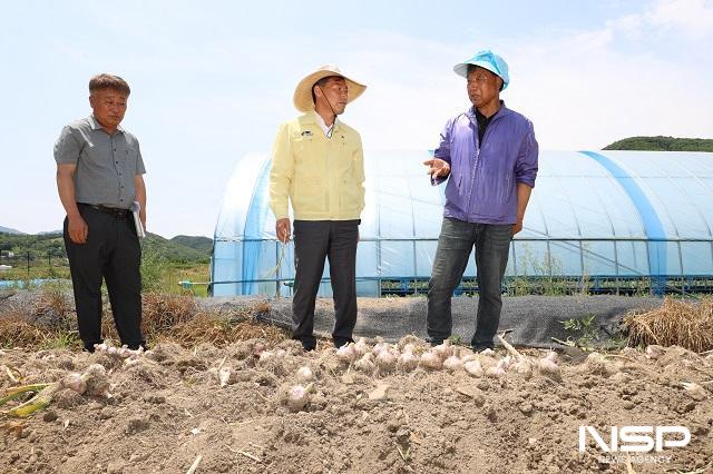 NSP통신-11일 전춘성 군수(가운데)가 본격적인 마늘 수확철을 맞아 수확이 한창인 성수면 마늘 재배현장을 찾아 농가의 애로사항을 듣고, 실질적인 지원 방안을 모색했다. (사진 = 진안군)